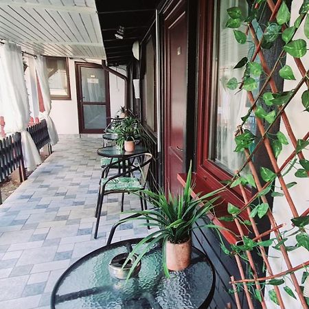 Pensiunea Red Rose Apartments ทิมิชัวรา ภายนอก รูปภาพ