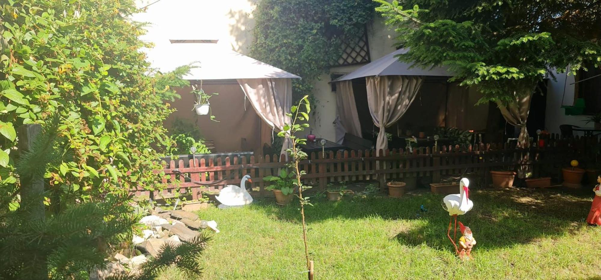 Pensiunea Red Rose Apartments ทิมิชัวรา ภายนอก รูปภาพ