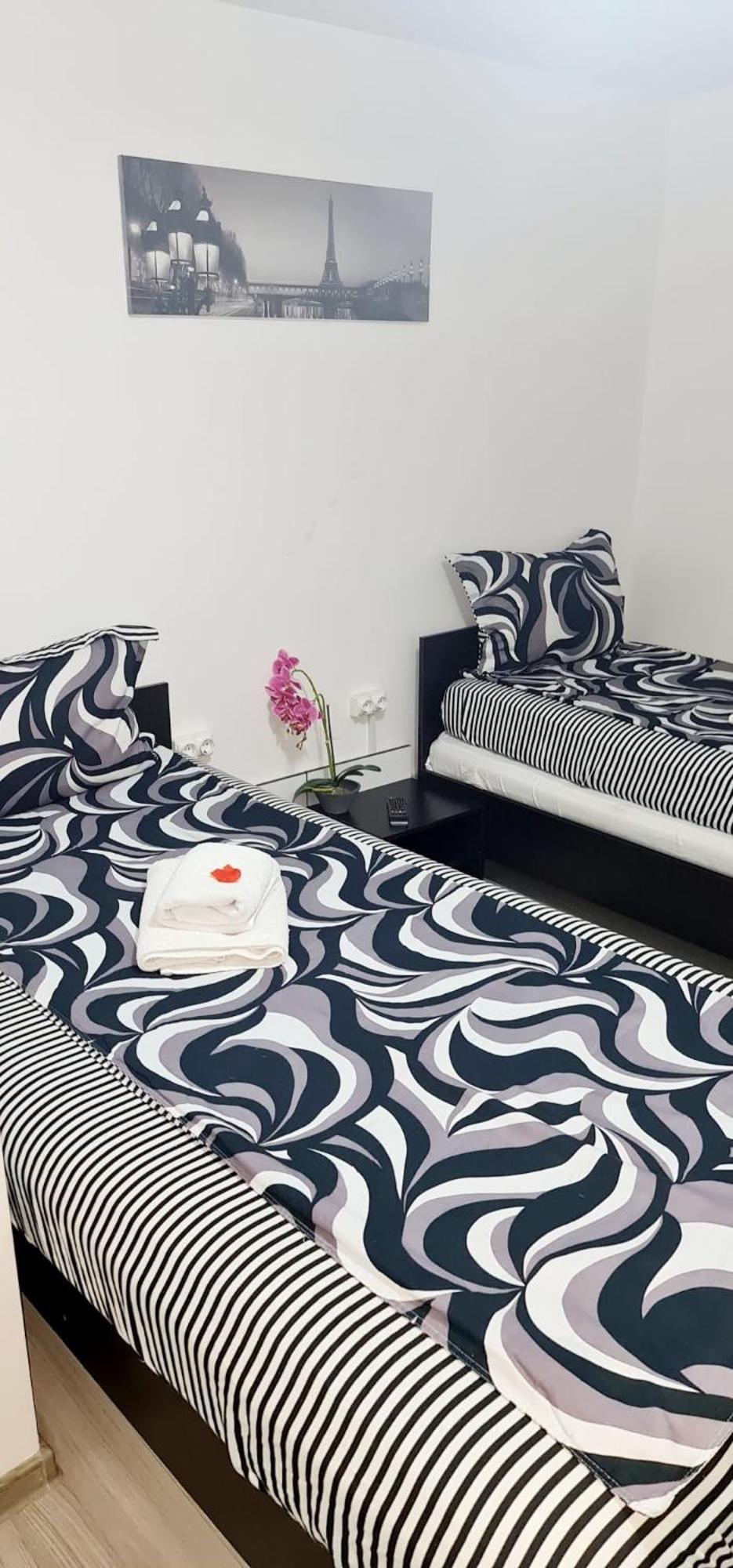 Pensiunea Red Rose Apartments ทิมิชัวรา ภายนอก รูปภาพ