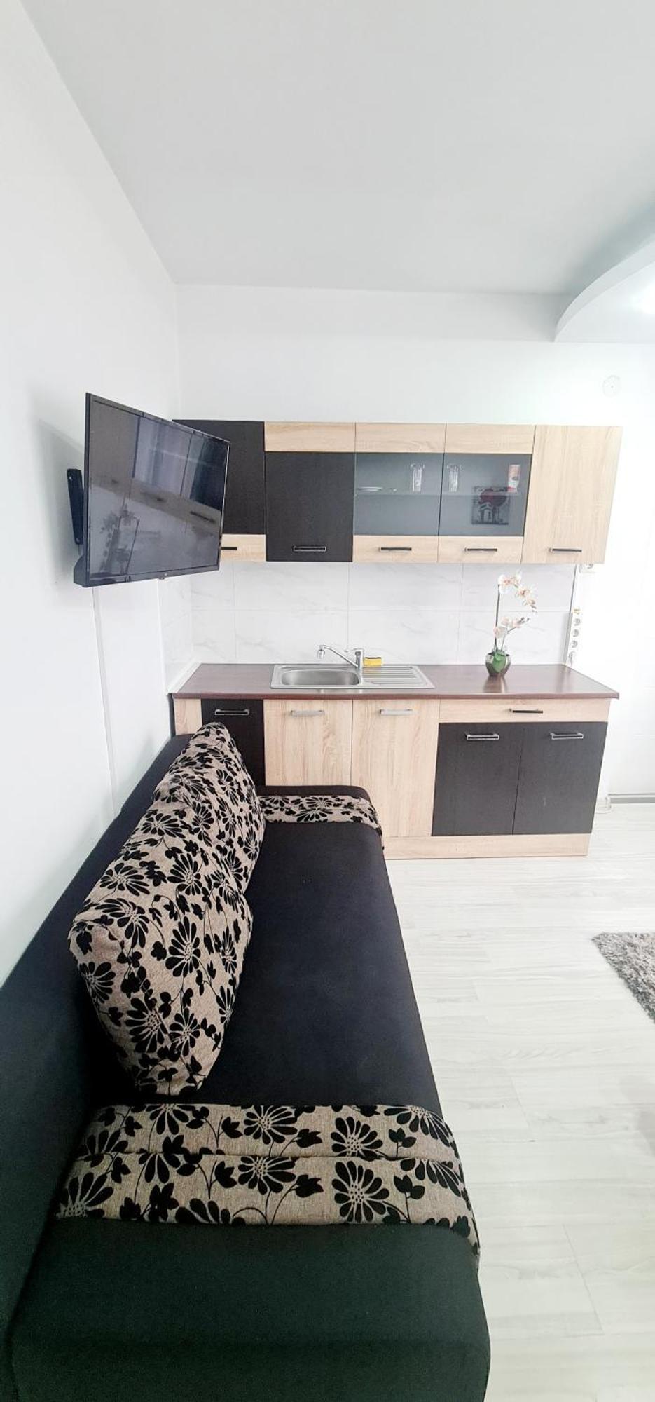 Pensiunea Red Rose Apartments ทิมิชัวรา ภายนอก รูปภาพ