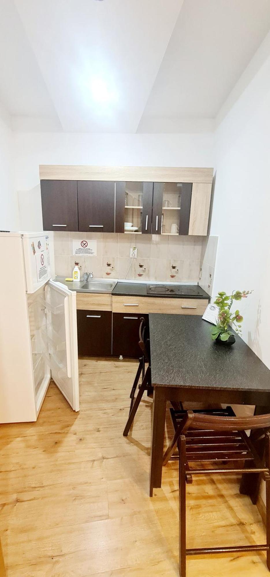 Pensiunea Red Rose Apartments ทิมิชัวรา ภายนอก รูปภาพ