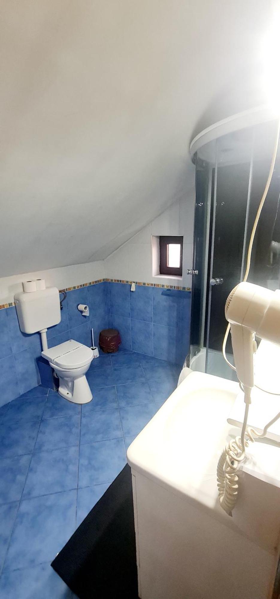 Pensiunea Red Rose Apartments ทิมิชัวรา ภายนอก รูปภาพ